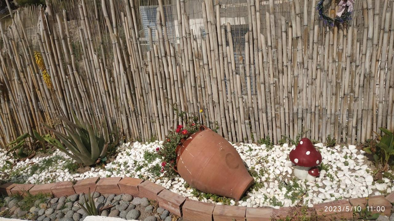 Meltemi Apartments Agia Marina  Экстерьер фото